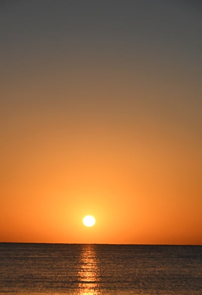 Things To Do callout