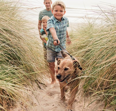 Thing To Do Pet Friendly